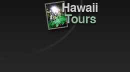Wild Orchid Hawaii Tours