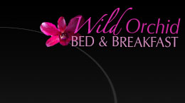 Wild Orchid Vacation Suite